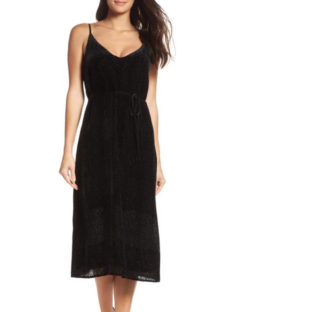 Velvet Burnout Dress